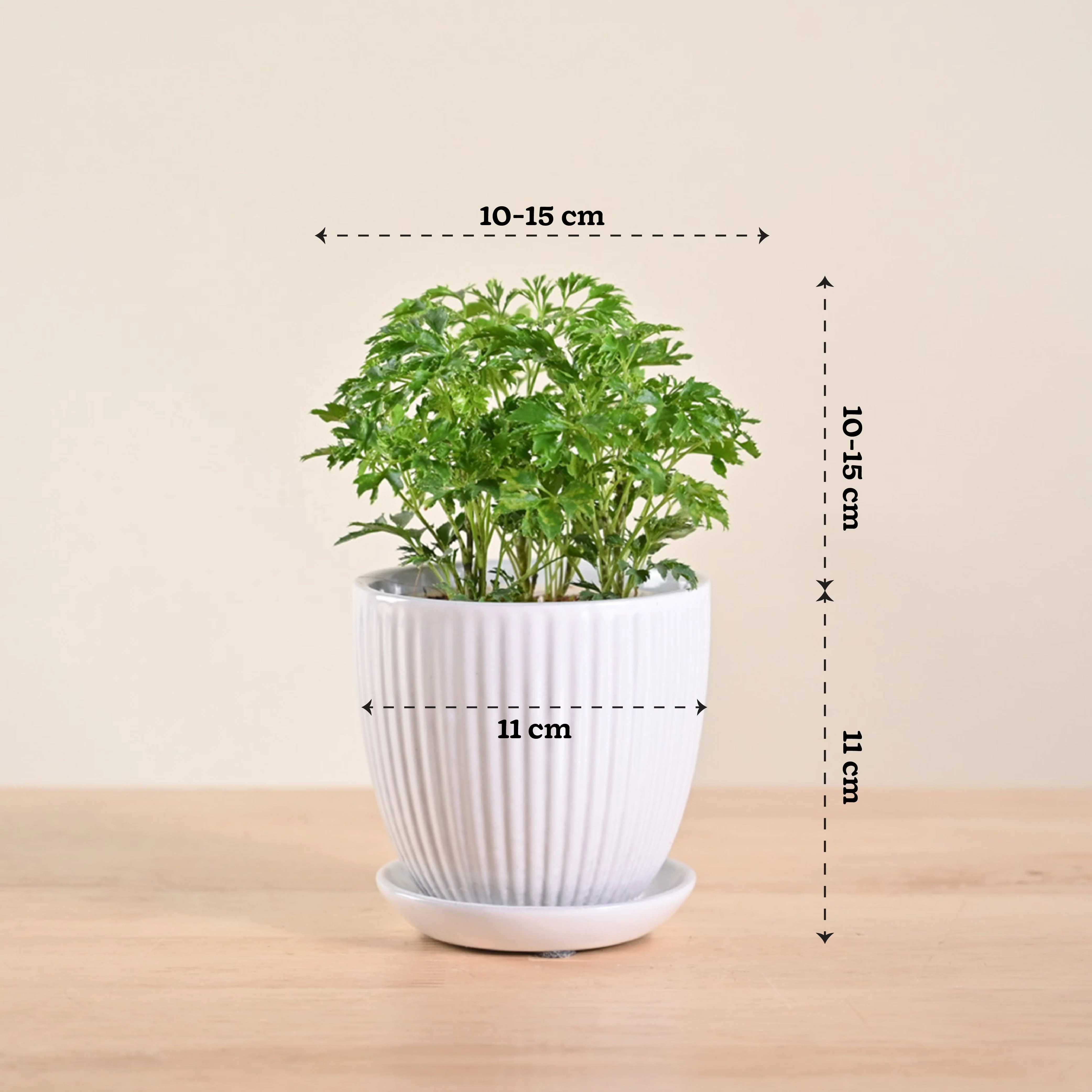 Product image 109