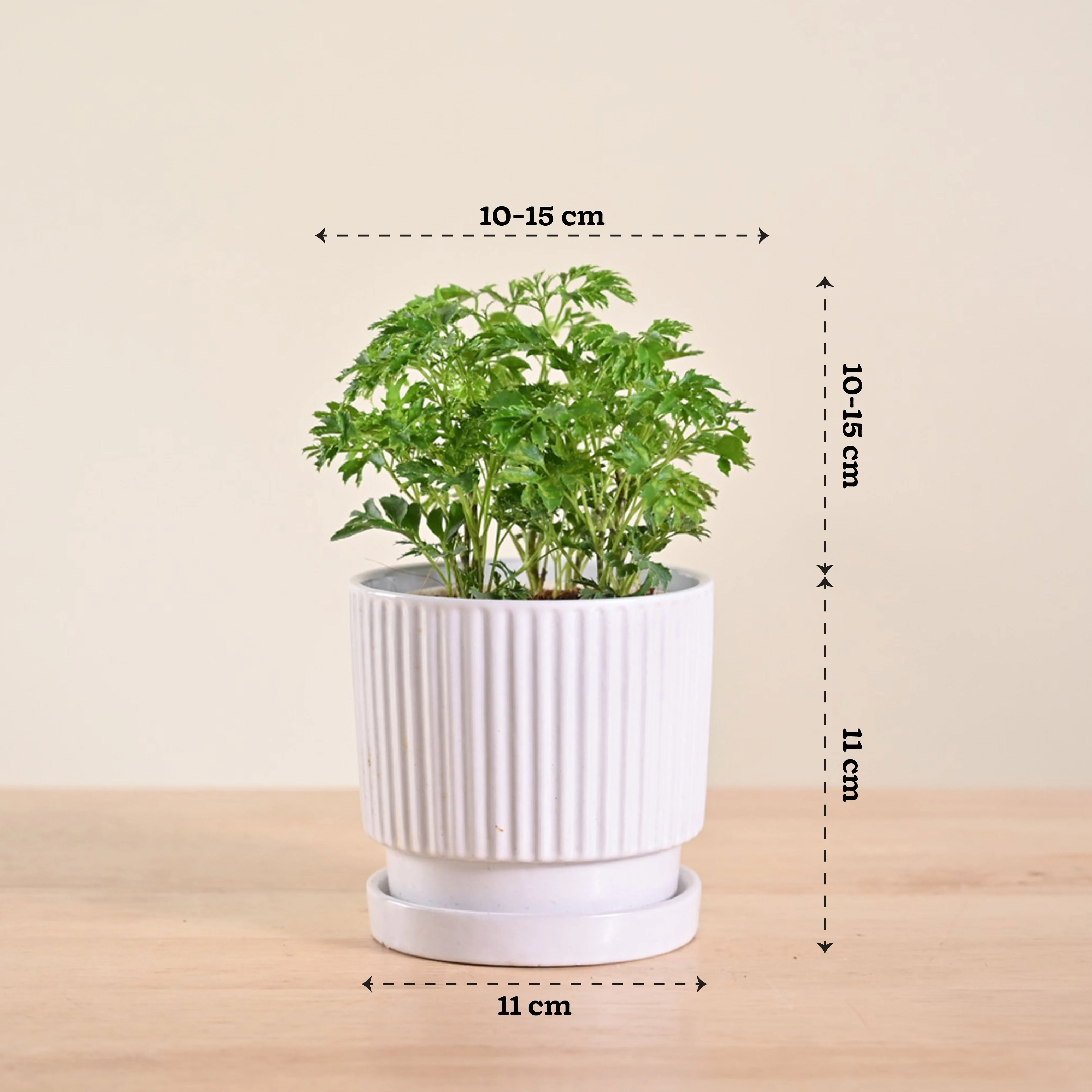 Product image 115