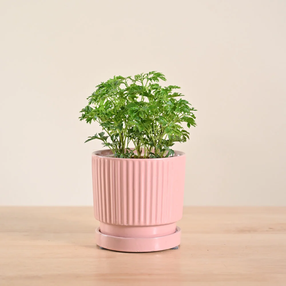 Product image 118
