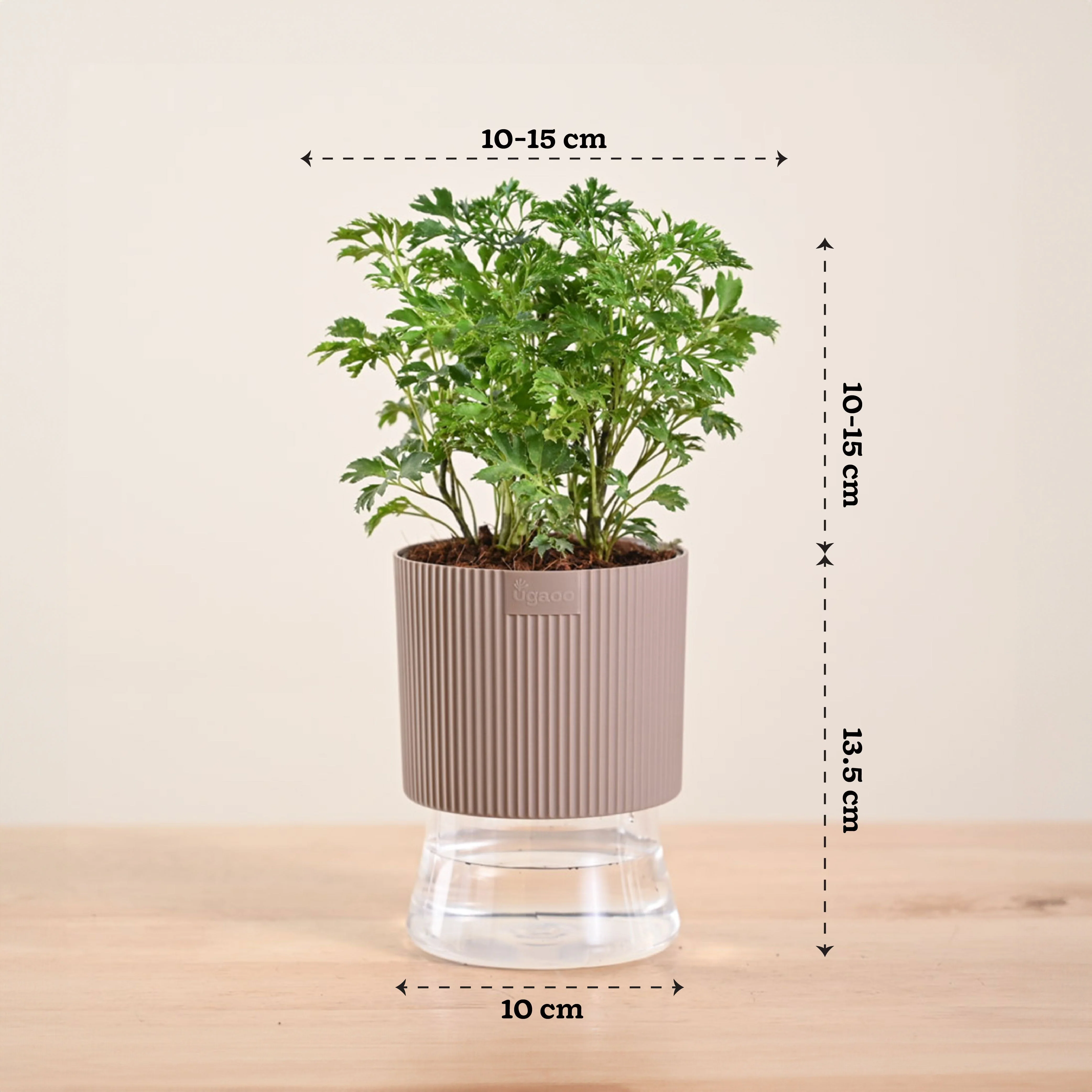 Product image 125