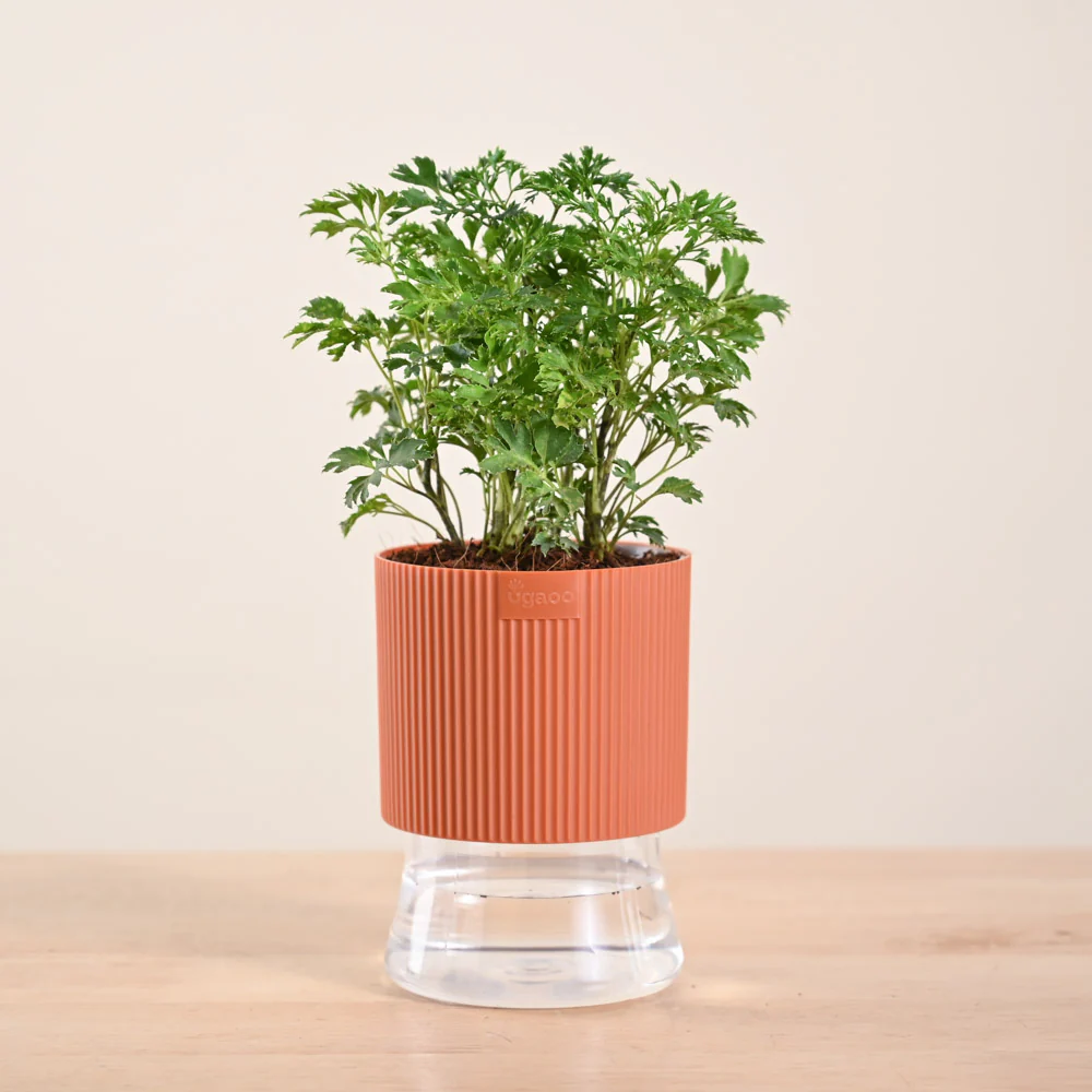 Product image 126