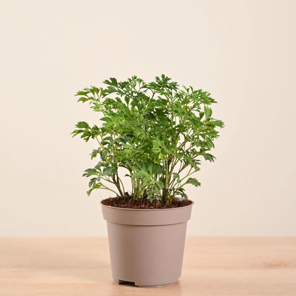 Product image 128