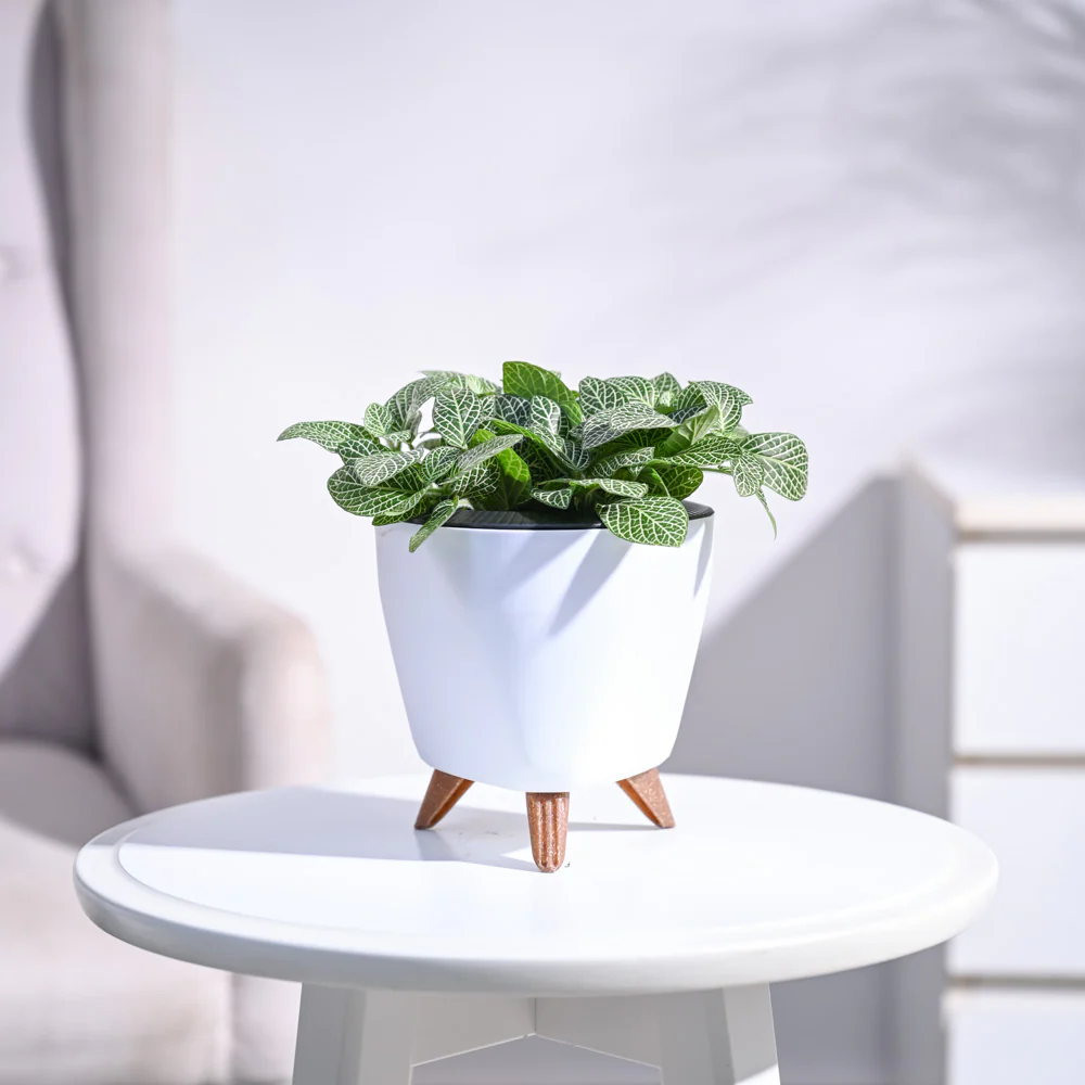Product image 83