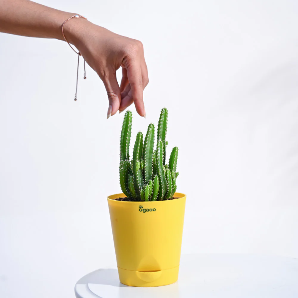 Product image 83