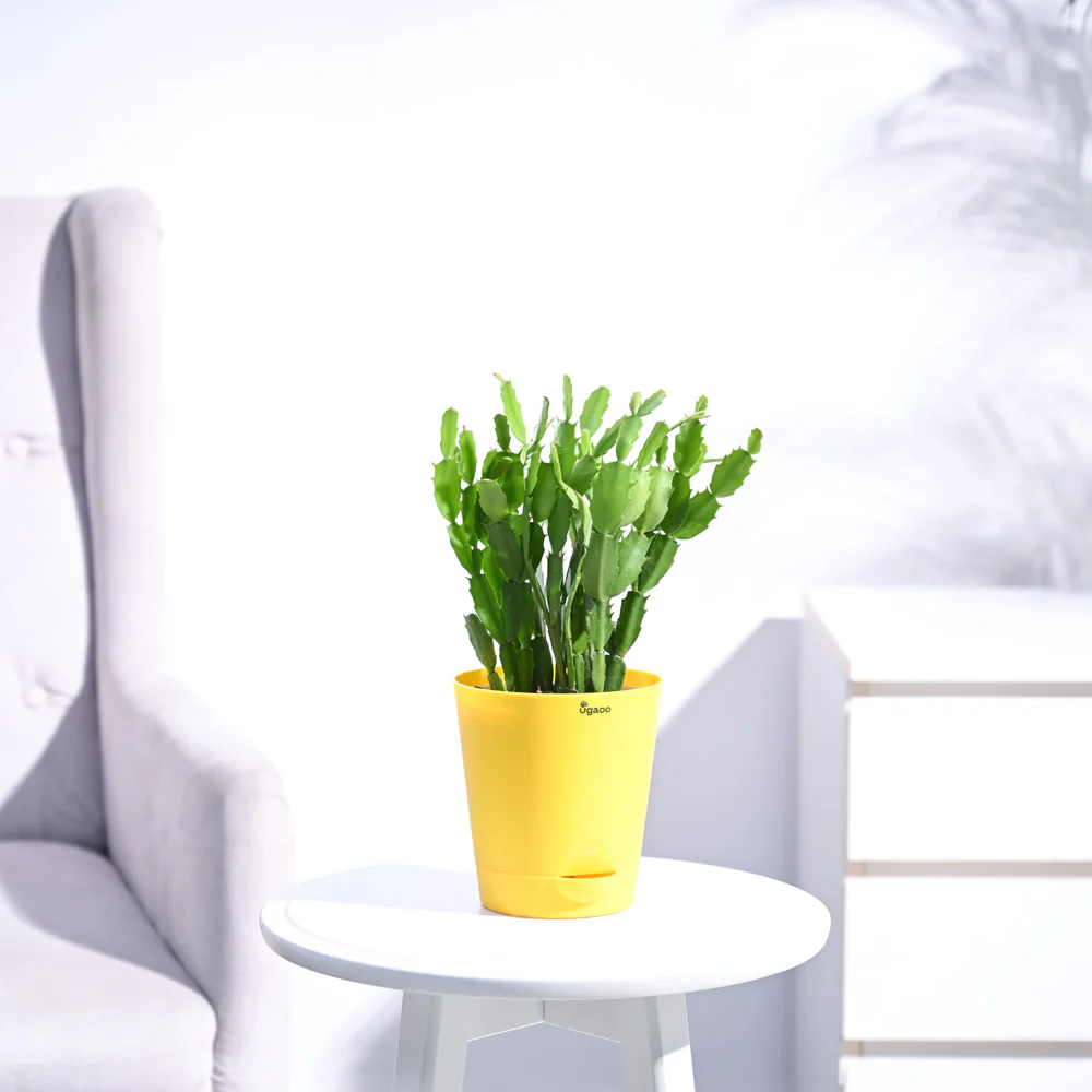 Product image 104