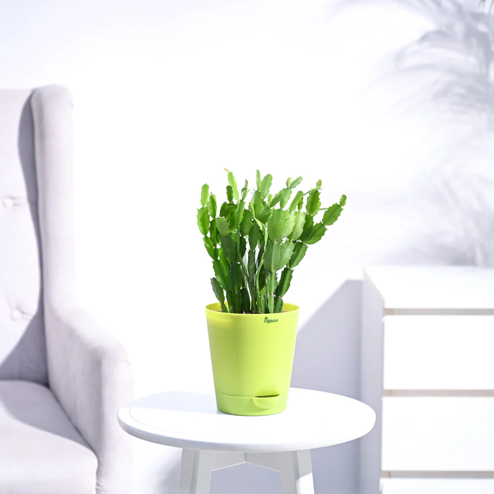 Product image 108