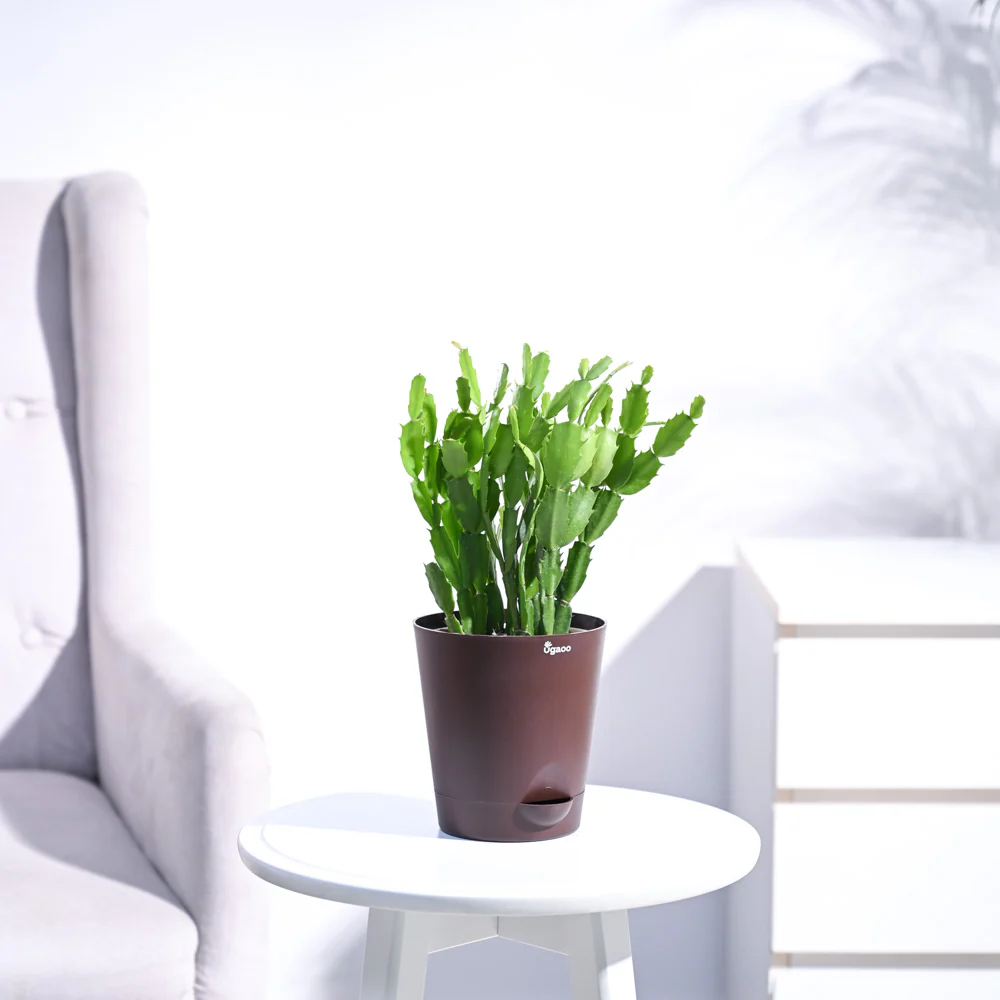 Product image 116