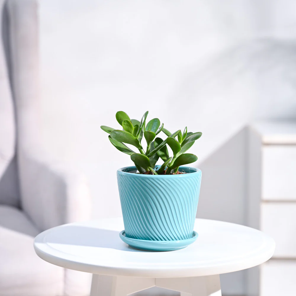 Product image 77