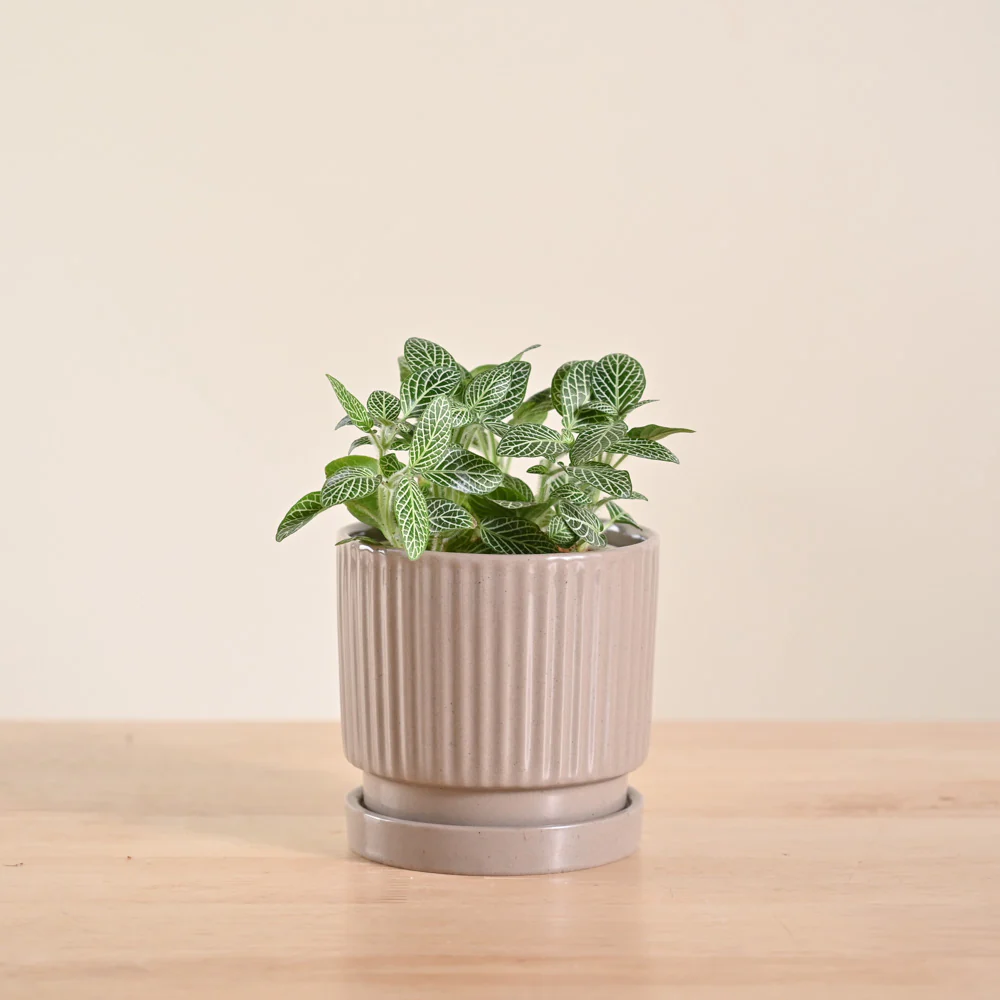 Product image 102