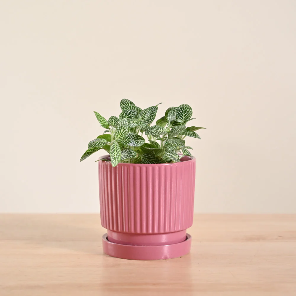 Product image 106