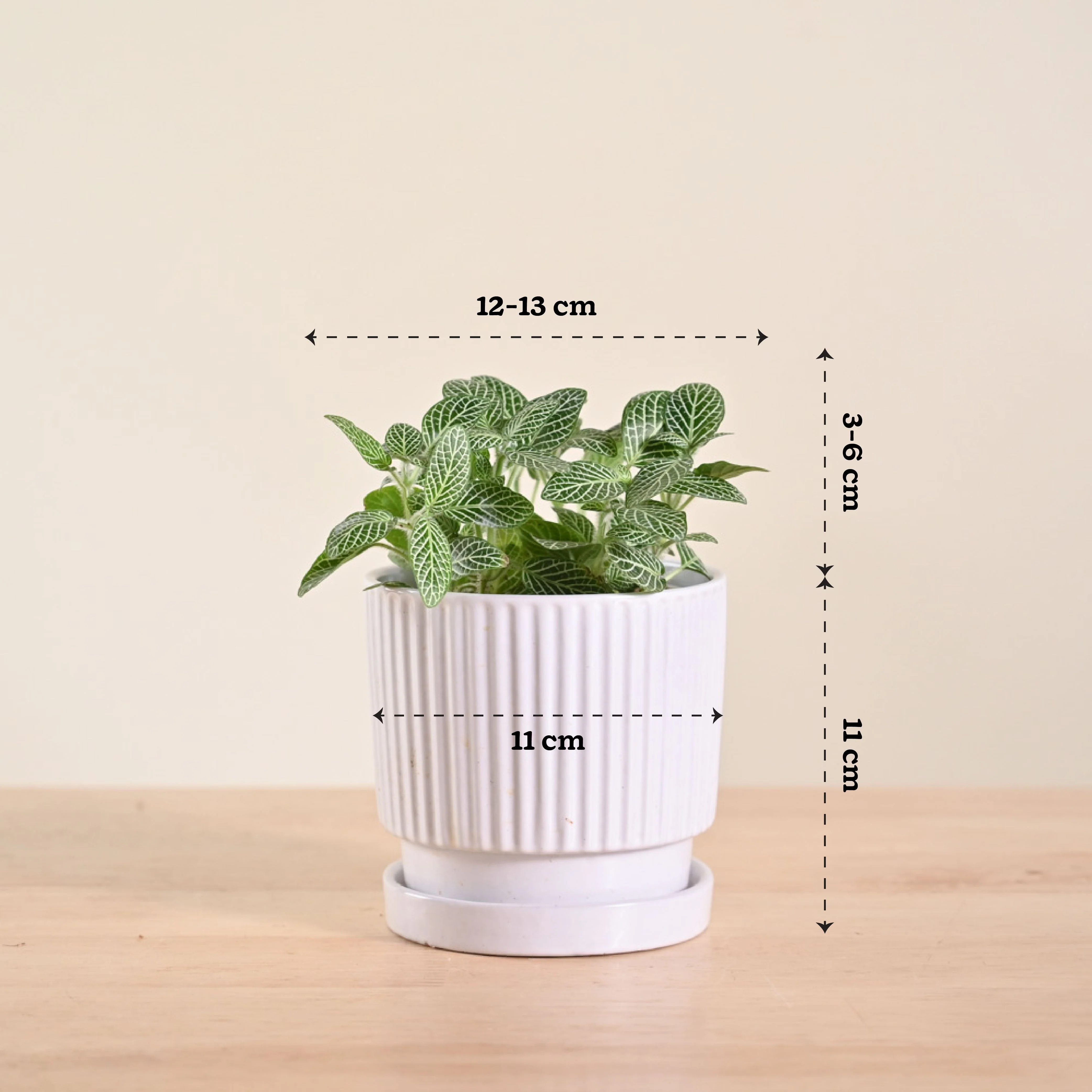 Product image 107