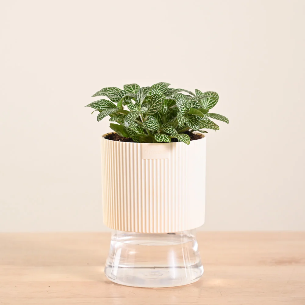 Product image 112