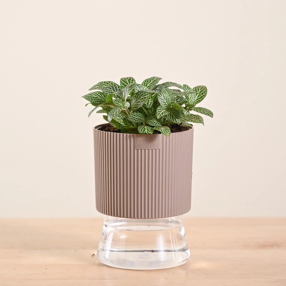 Product image 114