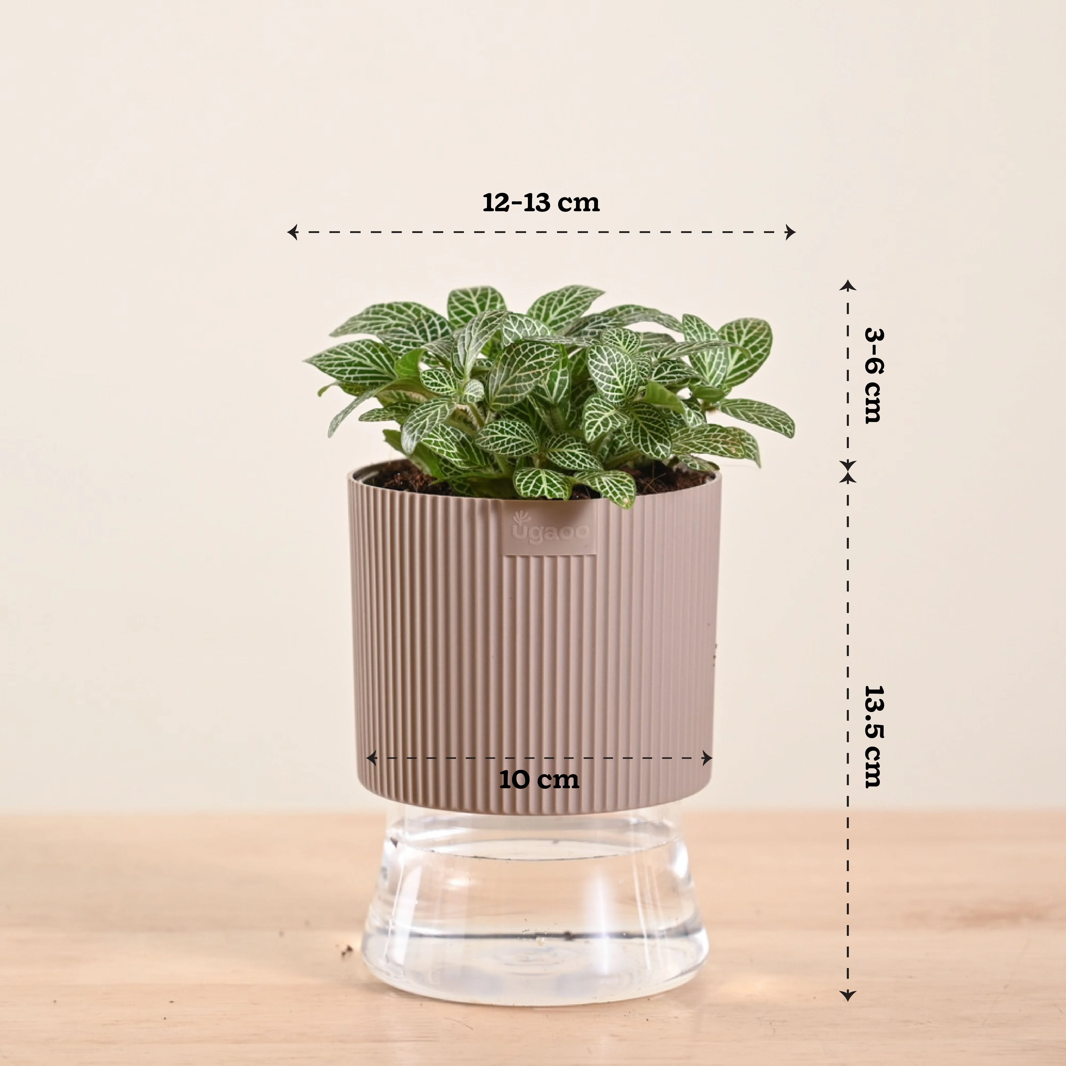 Product image 117
