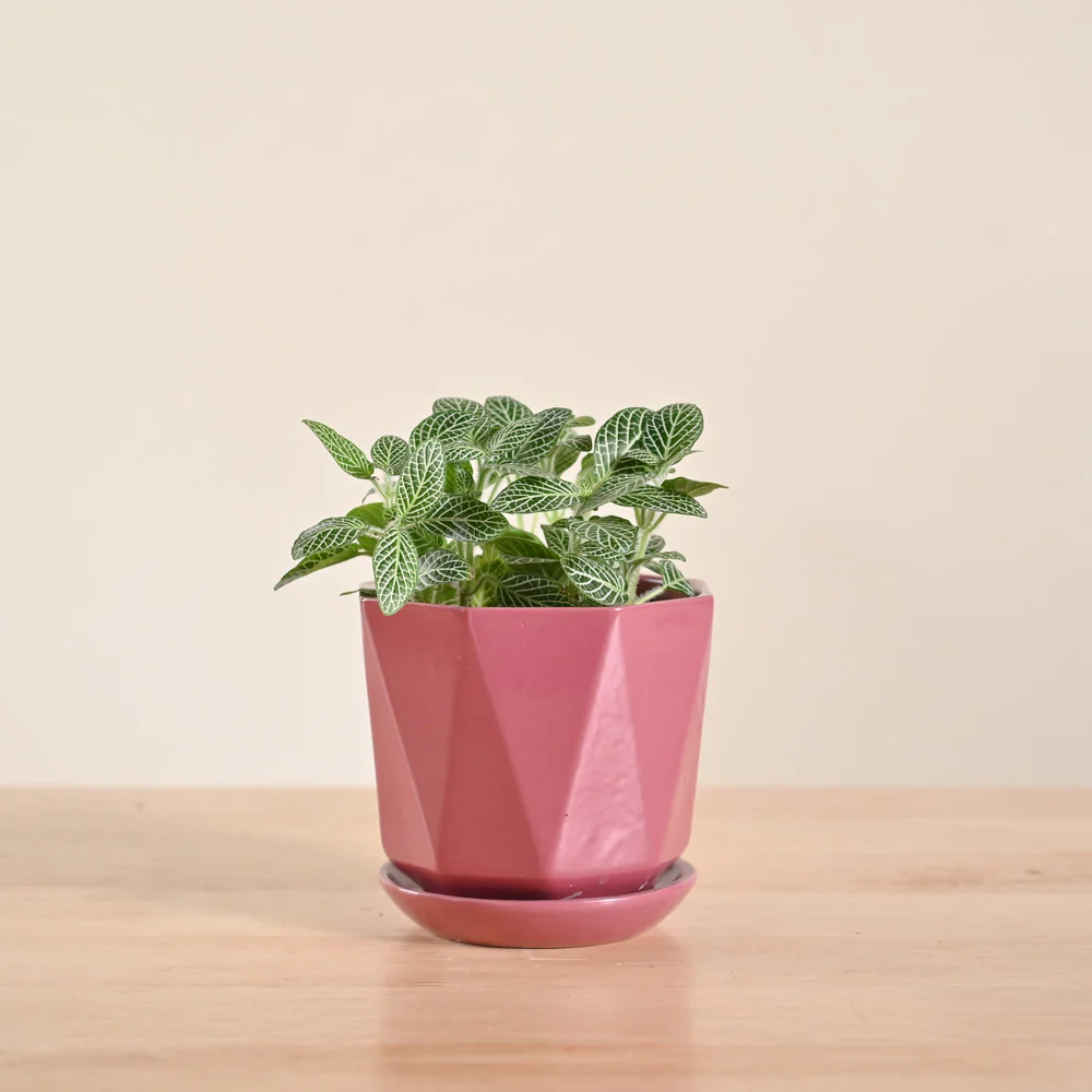 Product image 88