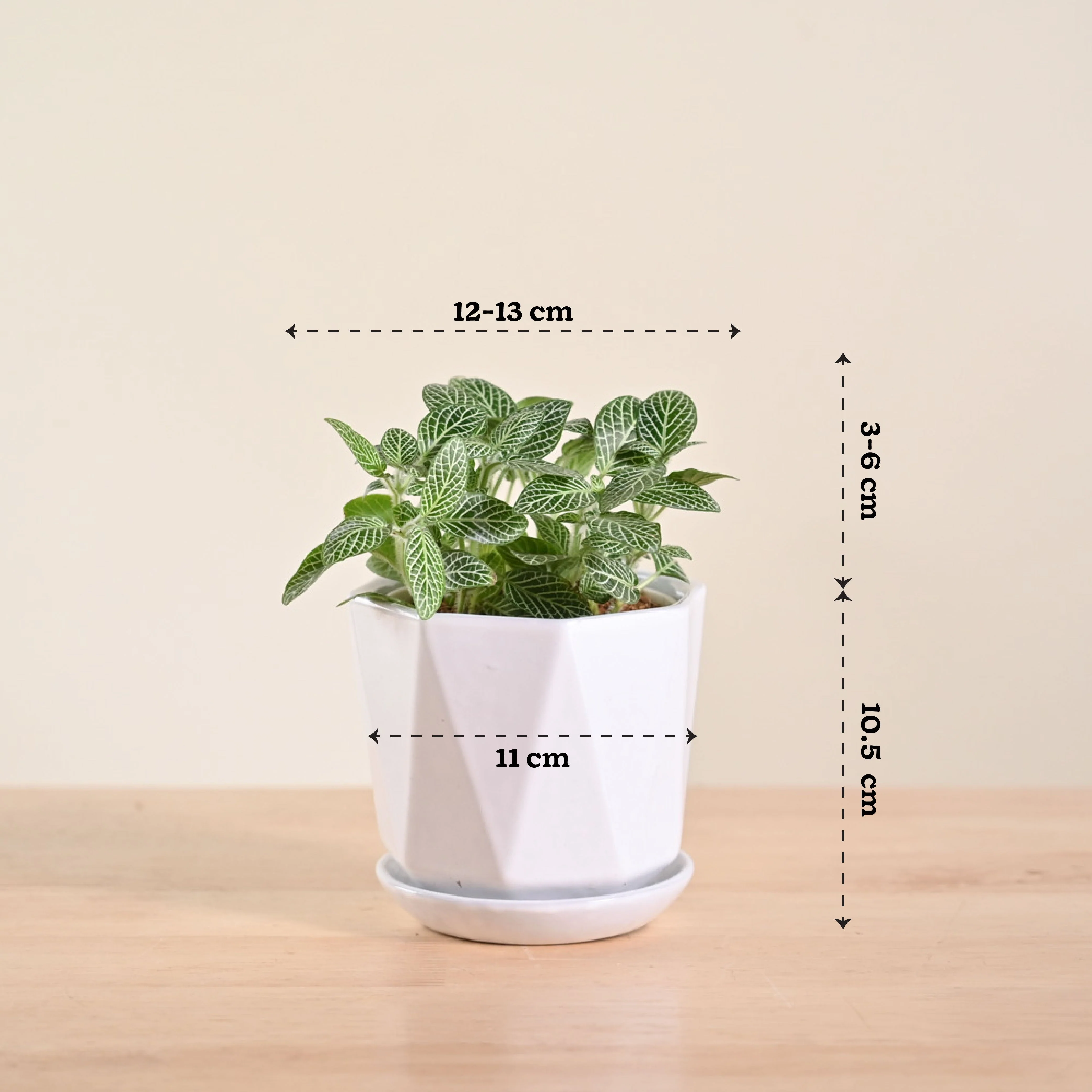 Product image 89