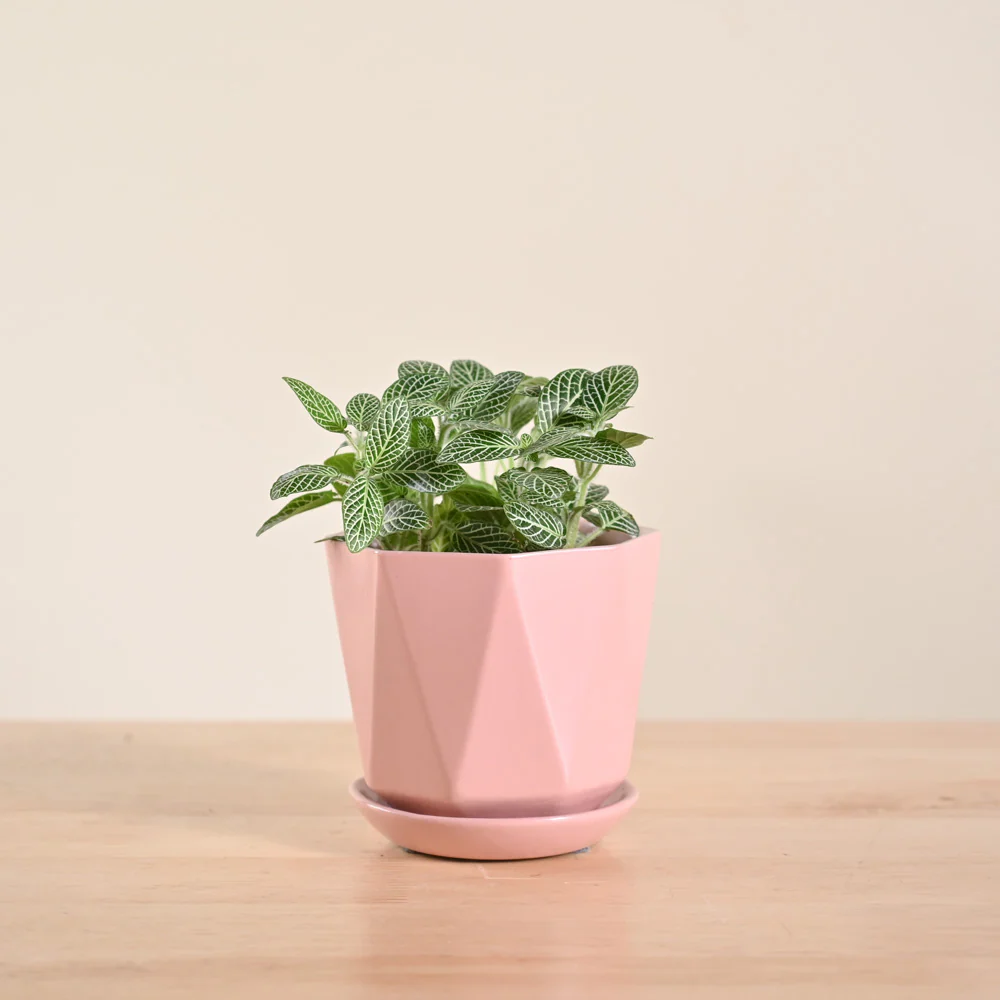 Product image 90