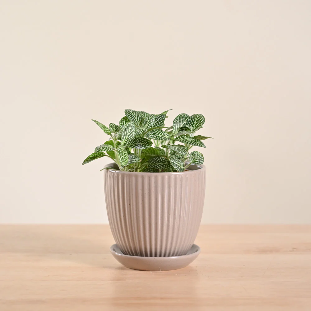 Product image 94