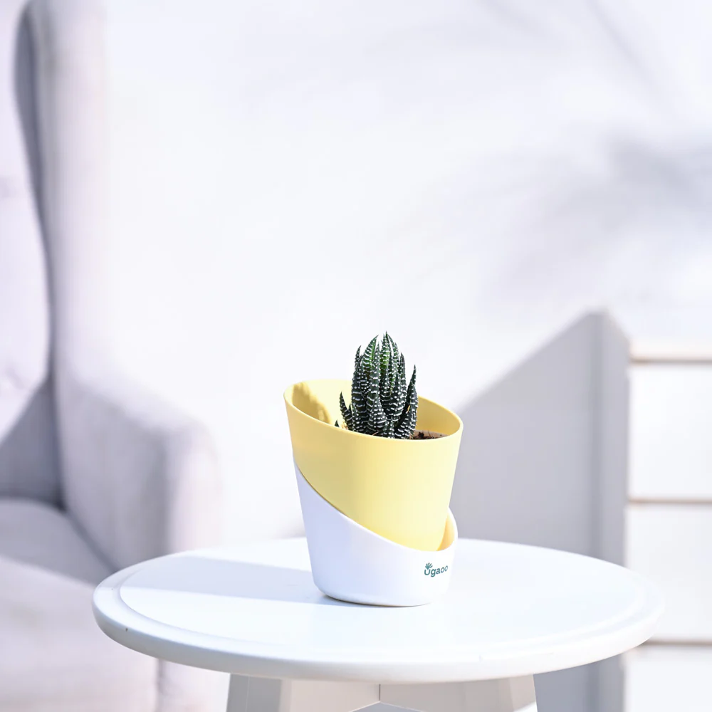 Product image 80