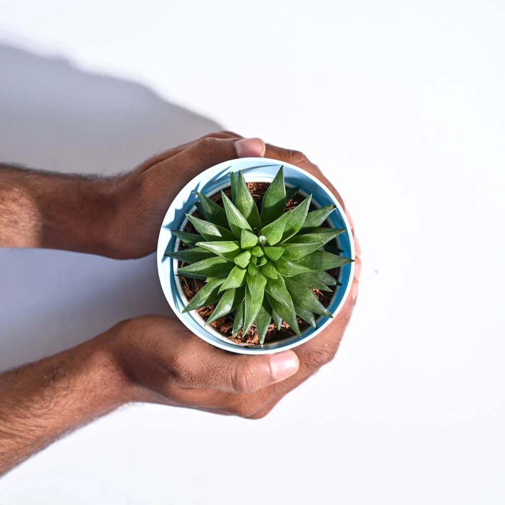 Product image 73