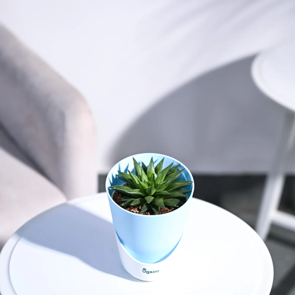 Product image 82