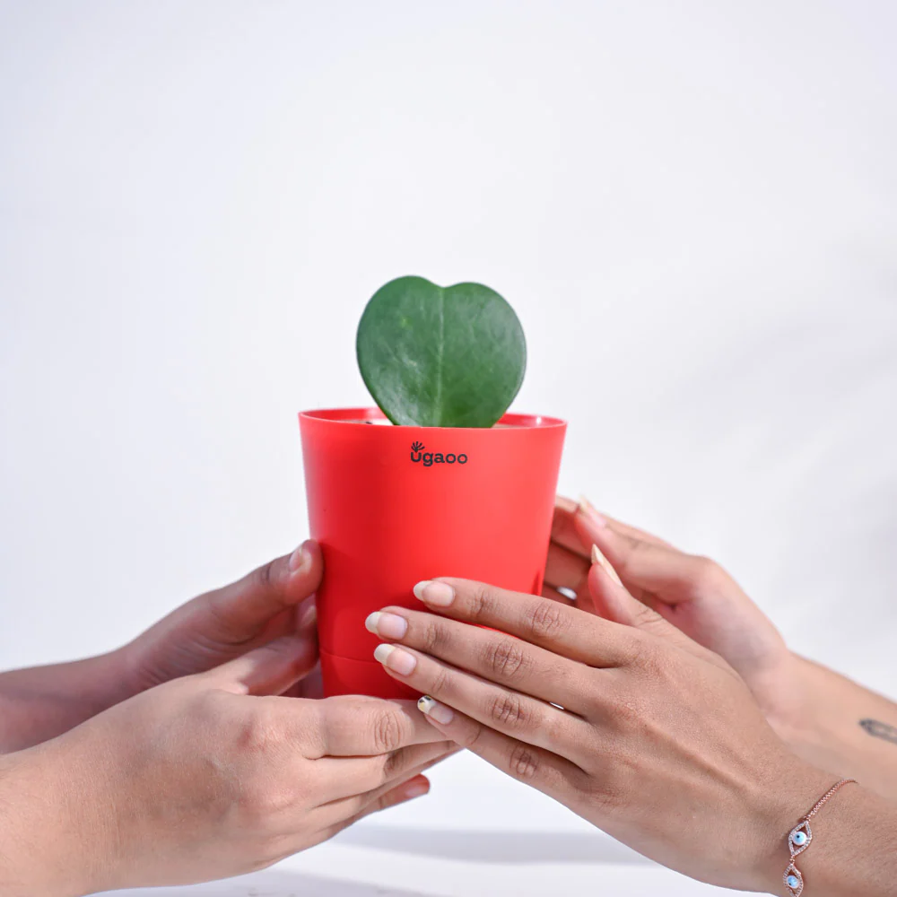 Product image 129