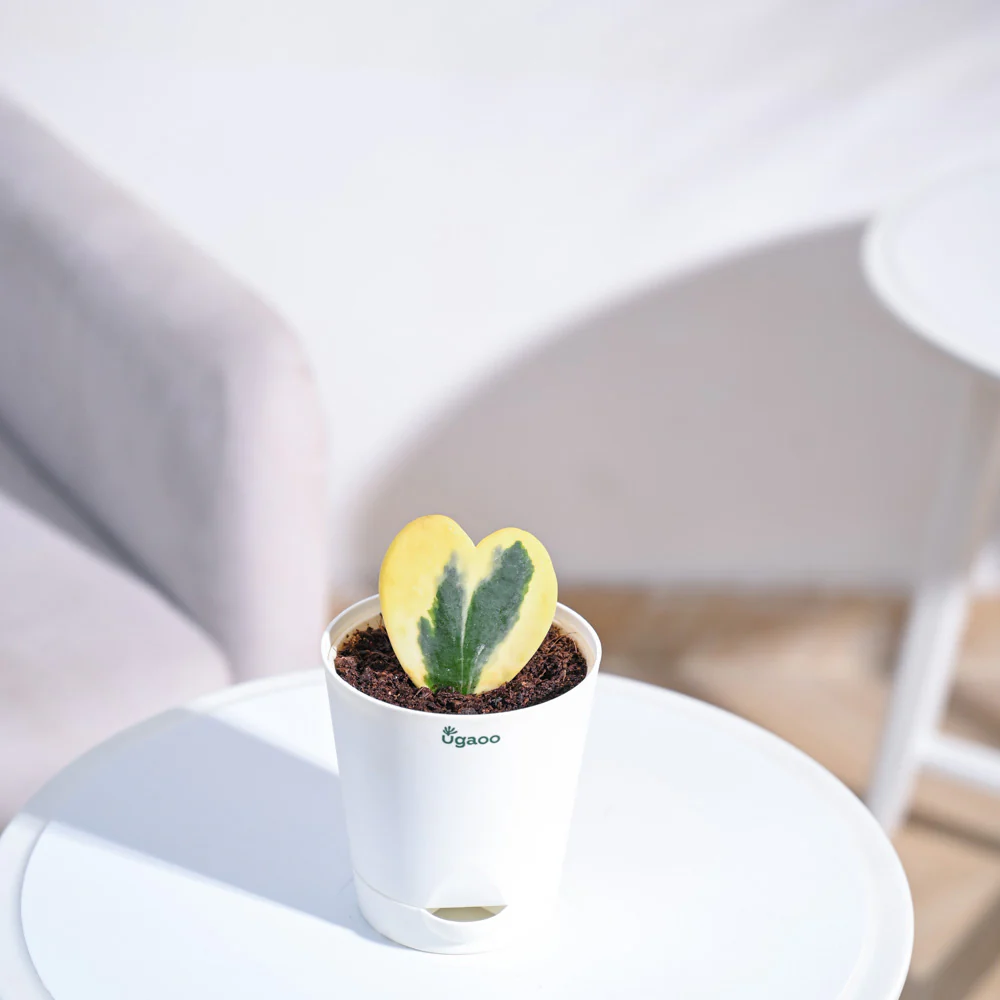 Product image 73