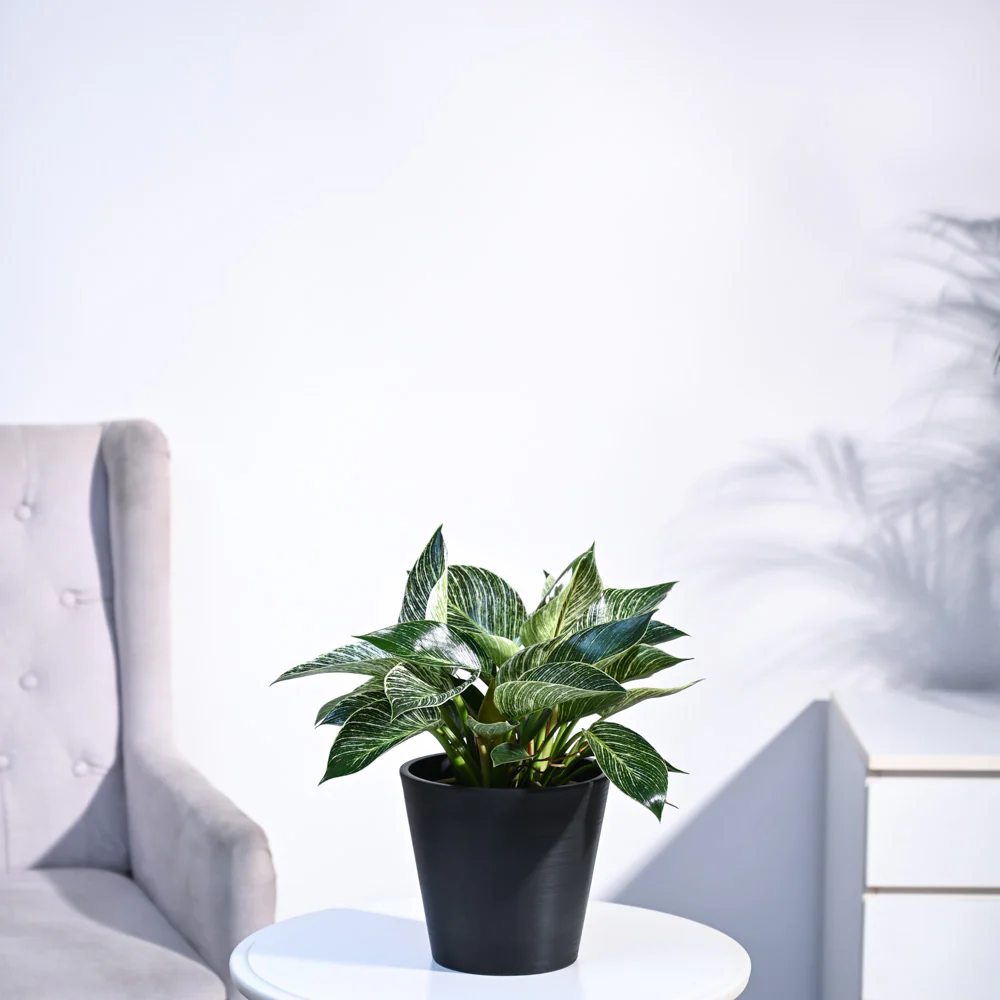 Product image 112