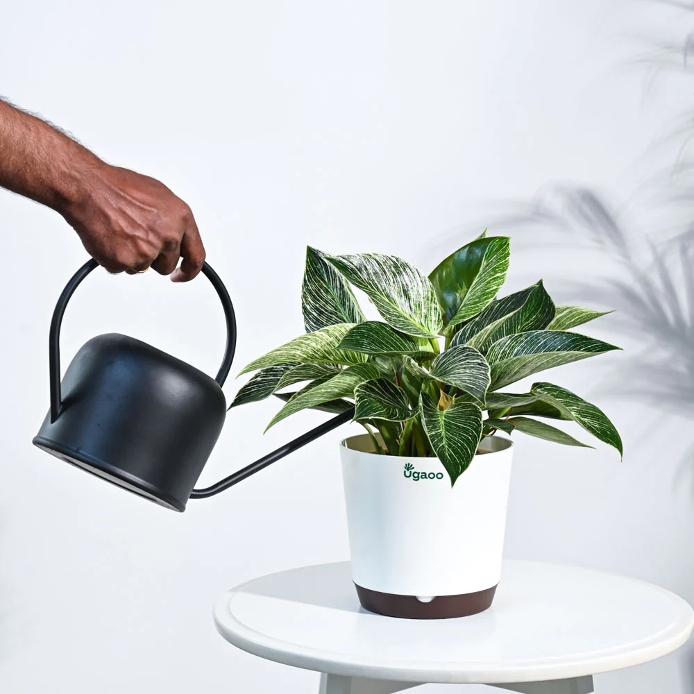Product image 90